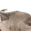 Sticker 😍 : ̗̀➛🐈Ｋｉｔｔｅｎｓ @Terrible1Jack @TgEmodziBot