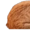 Video sticker 😅 : ̗̀➛🐈Ｋ�...