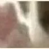 Video sticker 😁 : ̗̀➛🐈Ｋ�...