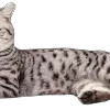 Sticker 😆 : ̗̀➛🐈Ｋｉｔｔｅｎｓ @Terrible1Jack @TgEmodziBot