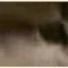 Video sticker 😂 : ̗̀➛🐈Ｋ�...
