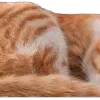Video sticker 😆 : ̗̀➛🐈Ｋ�...