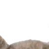 Sticker 😊 : ̗̀➛🐈Ｋｉｔｔｅｎｓ @Terrible1Jack @TgEmodziBot