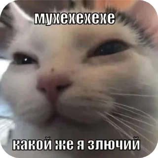 Sticker 🐱 Курапаточки