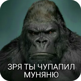 Telegram sticker 🫥 Anonymous @SozdaiStickeriBot