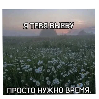 Video sticker 🌾 Кал