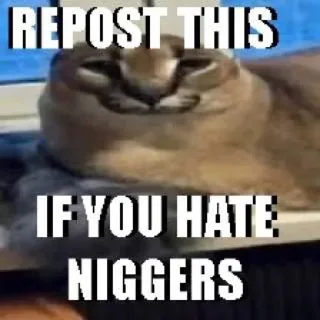 Telegram sticker 😎 Кал