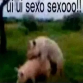 Video sticker 🇺🇦 Кал