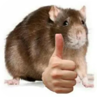Video sticker ✋ Stickers @Verr1ne 2: La secuela
