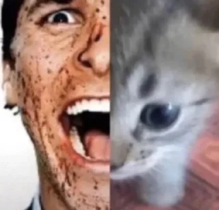 Video sticker 🤡 всегда котик :: @fStikBot