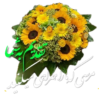 Telegram sticker 🌸 @avayeasheghaneh_30کانال@leyli630