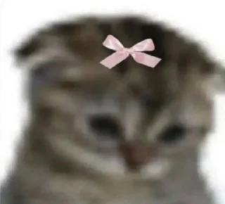 Telegram stiker 🎀 . @imgoingtodeath .
