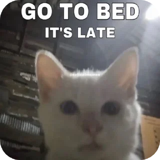 Telegram sticker 🐱 Meoww