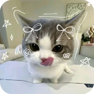 Sticker 🐱 Meoww