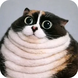 Telegram stiker 🐱 tg -> @stcksound