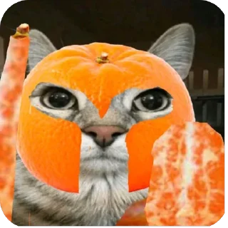 Telegram sticker 🔥 Zazu кот :: @fStikBot