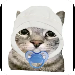 Telegram sticker 🔥 Zazu кот :: @fStikBot