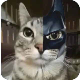 Telegram sticker 🔥 Zazu кот :: @fStikBot