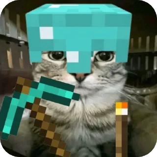 Video sticker 🔥 Zazu кот :: @fStikBot