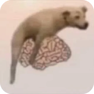 Telegram sticker 🐶 Uuyyhp stker collection V1