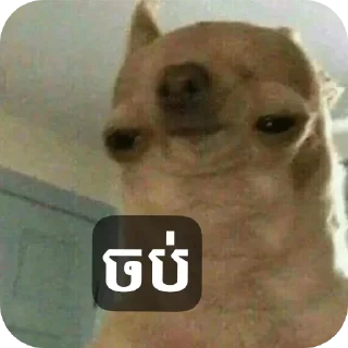 Telegram sticker 🤨 Uuyyhp stker collection V1