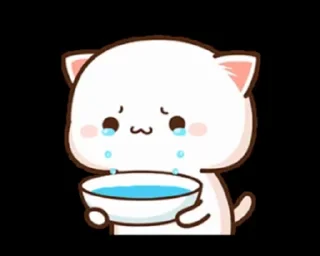 Video sticker 😭 Your stickers - @my_stckers_bot