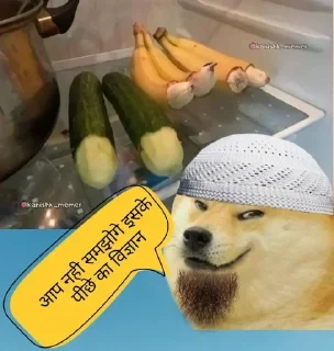 Video sticker 🤡 Muslim ka baap @DoYouKnowInsane