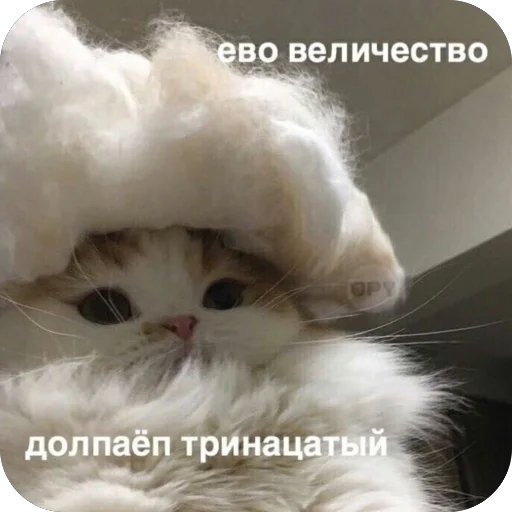Telegram sticker 🫥 Ппч