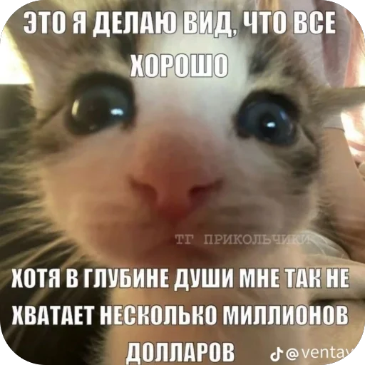 Telegram sticker 🫥 Ппч