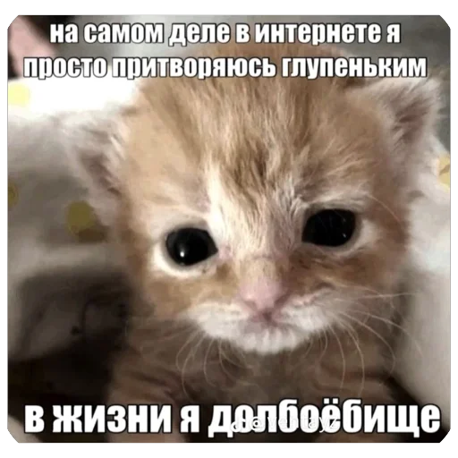 Telegram sticker 🫥 Ппч