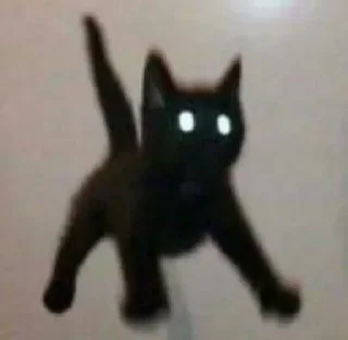 Video sticker 🐱 котики @meowmeowmeowmeowmwo :: @fStikBot