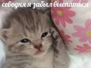 Telegram sticker 😎 параша 3 ебаная :: @fStikBot