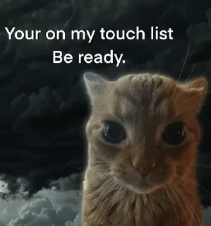 Video sticker 🌟 FUK U