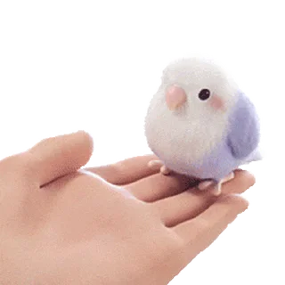 Video sticker 😊 3D芋圆 @zhaxia_cn