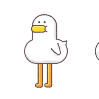 Sticker 💬 Stiron the Seagull By @KakaoEmoticon