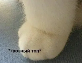 Video sticker 😡 @madessiz stickers