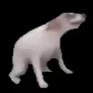 Video sticker 🐶 @x_v5q :معرف
