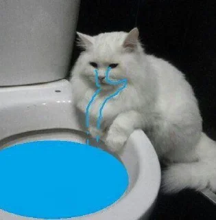 Telegram sticker 😭 𓃠  @noona_stickers