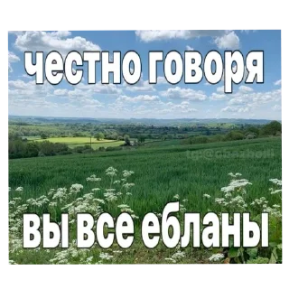 Sticker 😗 я люблю людей