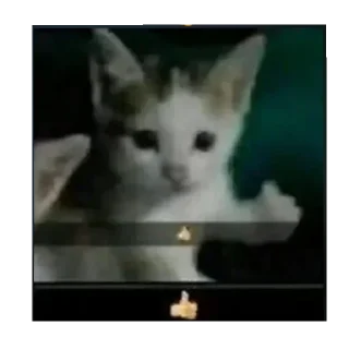 Video sticker 👍 @KKZZ2009