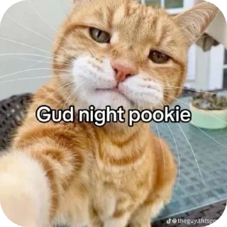 Telegram stiker ❤ Finnn.
