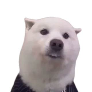 Telegram sticker 🐶 ataki loli