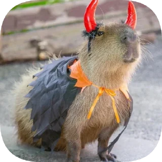 Video sticker 😈 Капибарность @Capybaraness