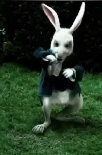 Video sticker 🌟 𝓢𝓱𝓻𝓮𝔂𝓪𝓷𝓼𝓱's vid pack - 1