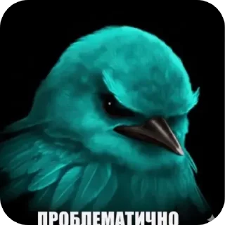 Video sticker 👍 Птичке  by: @KreST111k