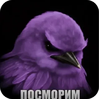 Телеграм стикер 👍 Птичке  by: @KreST111k