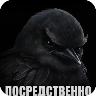 Телеграм стикер 👍 Птичке  by: @KreST111k