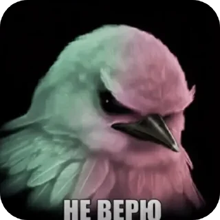 Телеграм стикер 👍 Птичке  by: @KreST111k