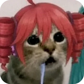 Video sticker 🐱 Ооооооооо