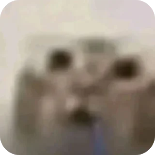 Video sticker 🤲 Ооооооооо